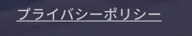 プライバシーポリシー